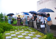 屋上緑化見学会