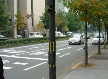 街路を彩る緑