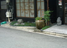 店の風景にとけ込む緑
