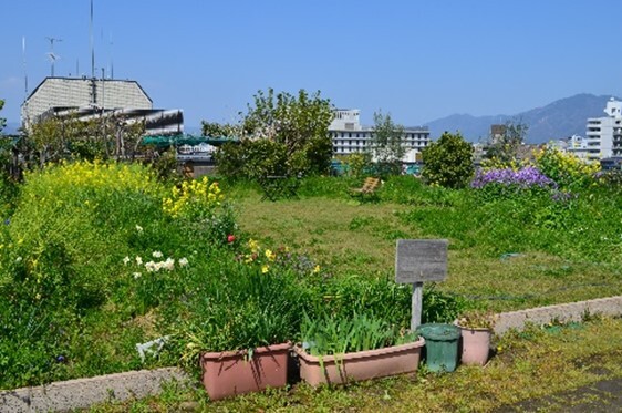 屋上庭園