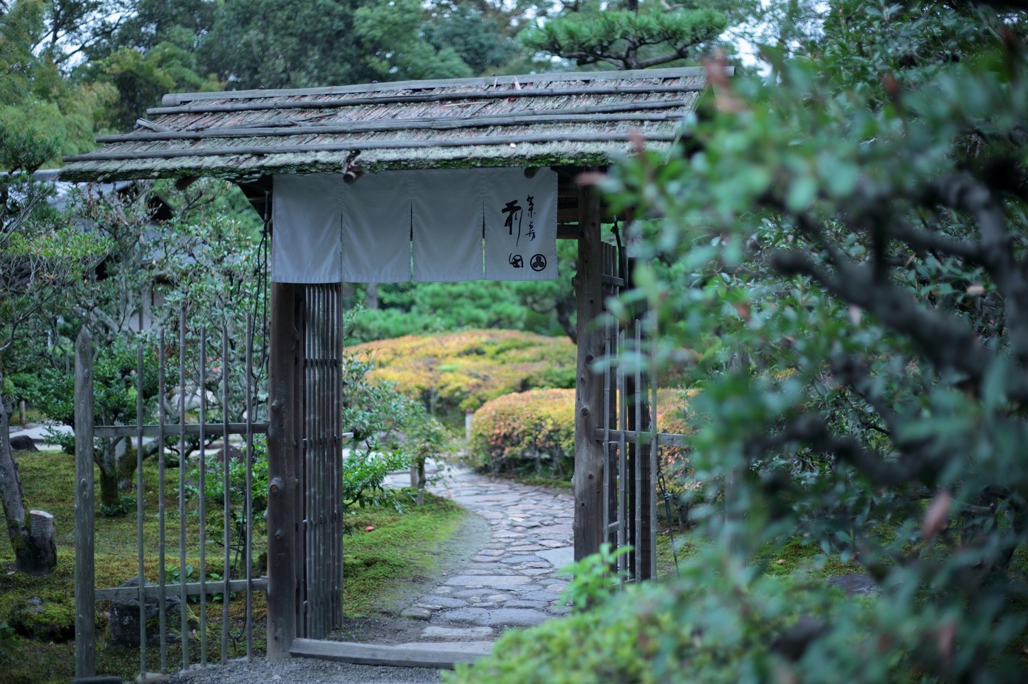 前田珈琲　二条城