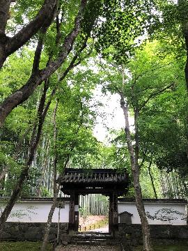 新緑の山門