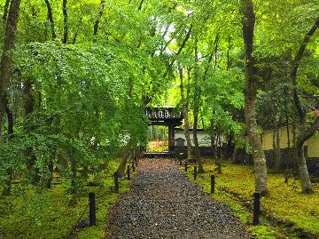 山門までの道