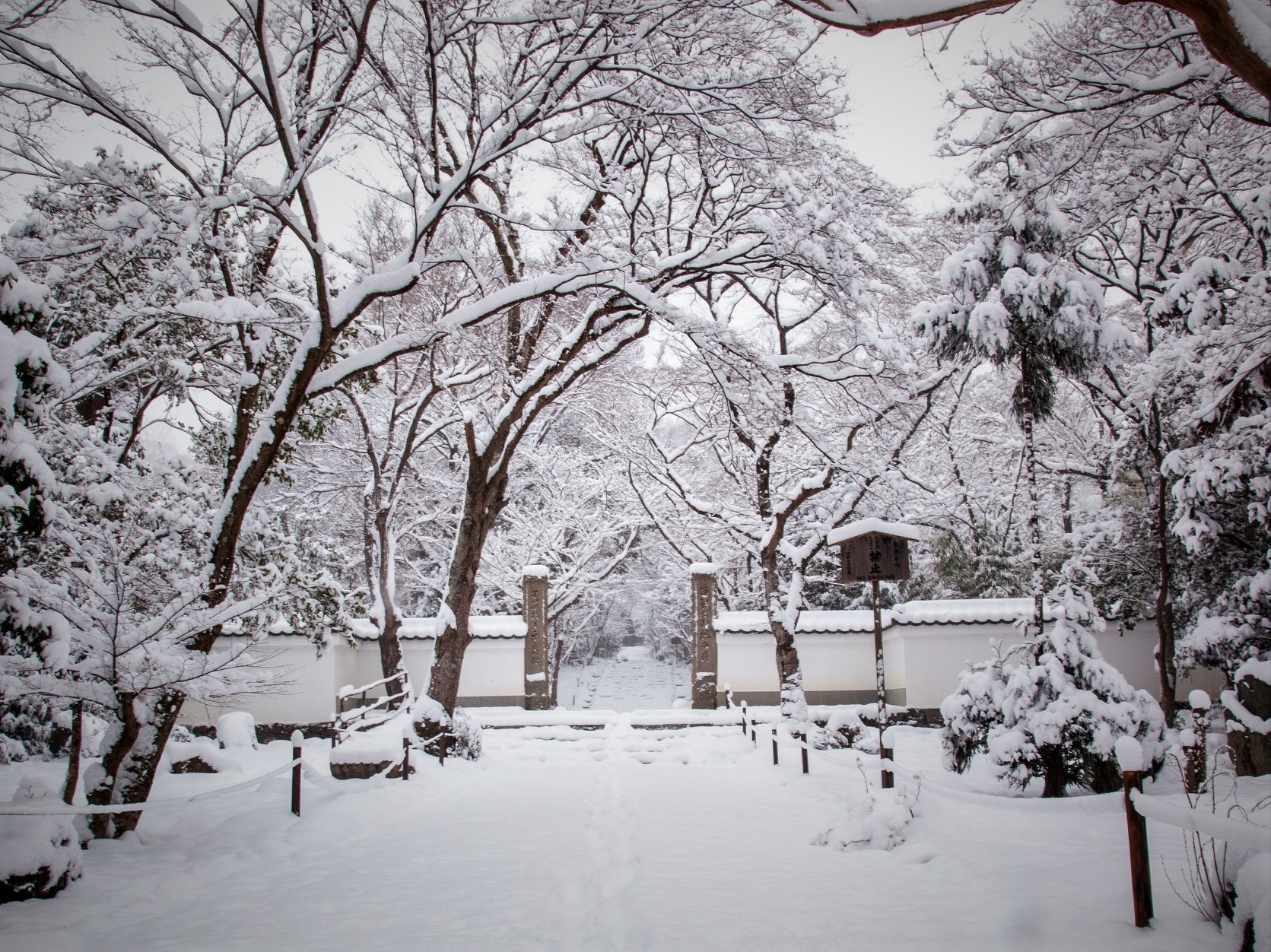 雪景色の参道