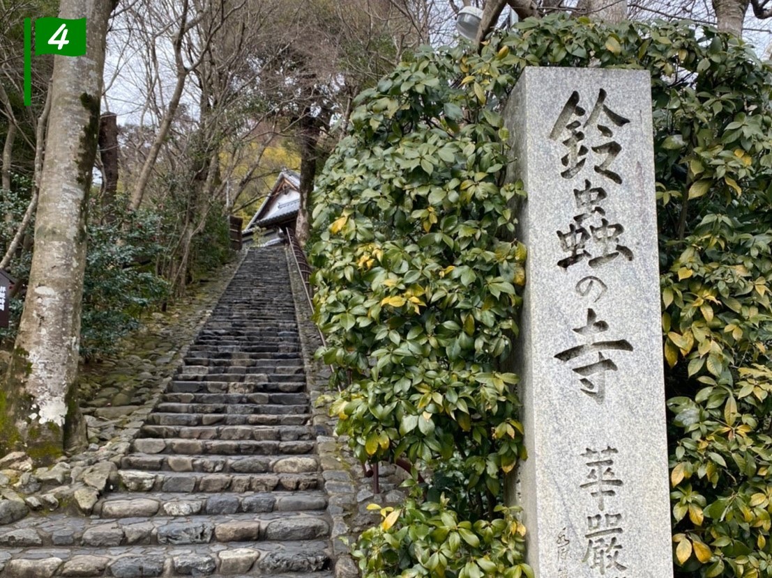 鈴虫寺の写真