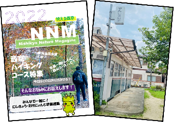 NNM表紙，裏表紙