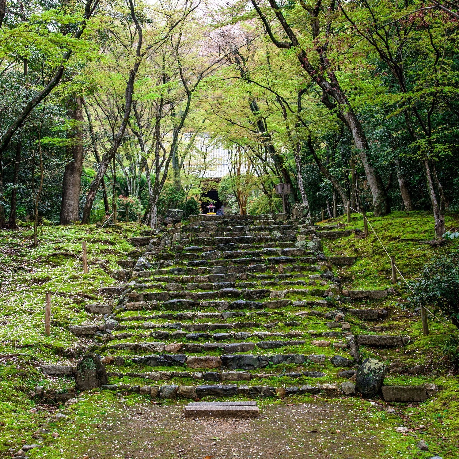 浄住寺