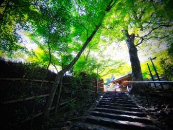 階段下から山門を見る