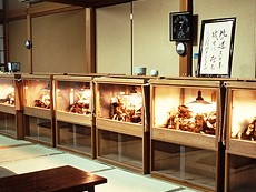 鈴虫飼育の様子
