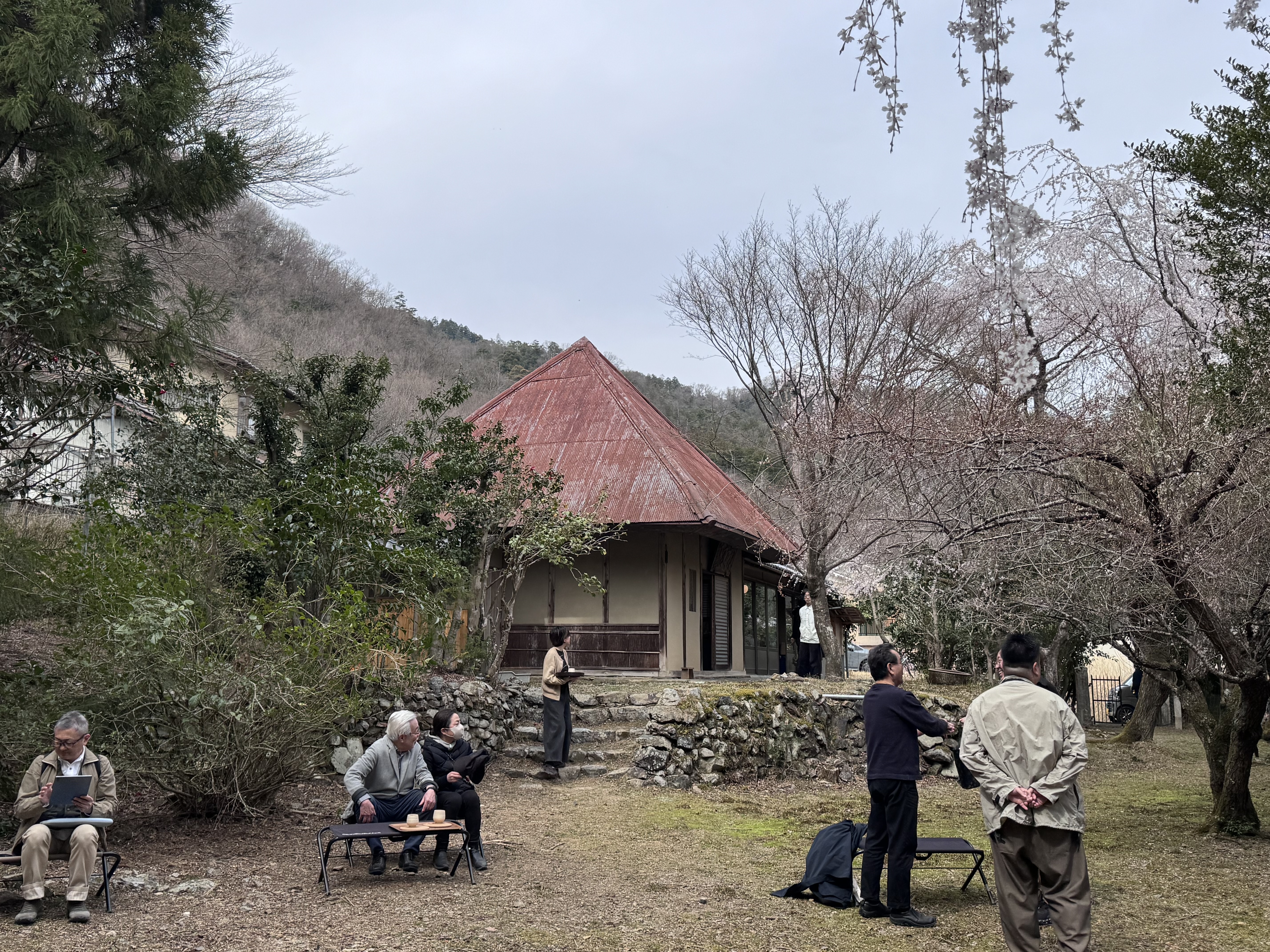 全景