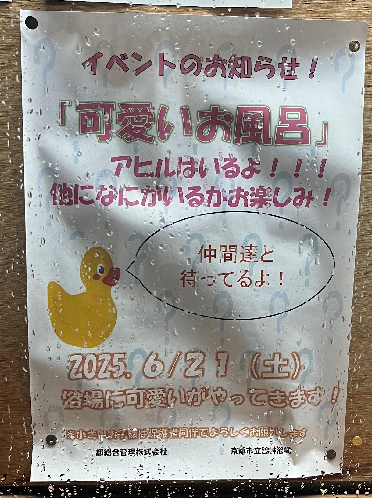 アヒル風呂の広告