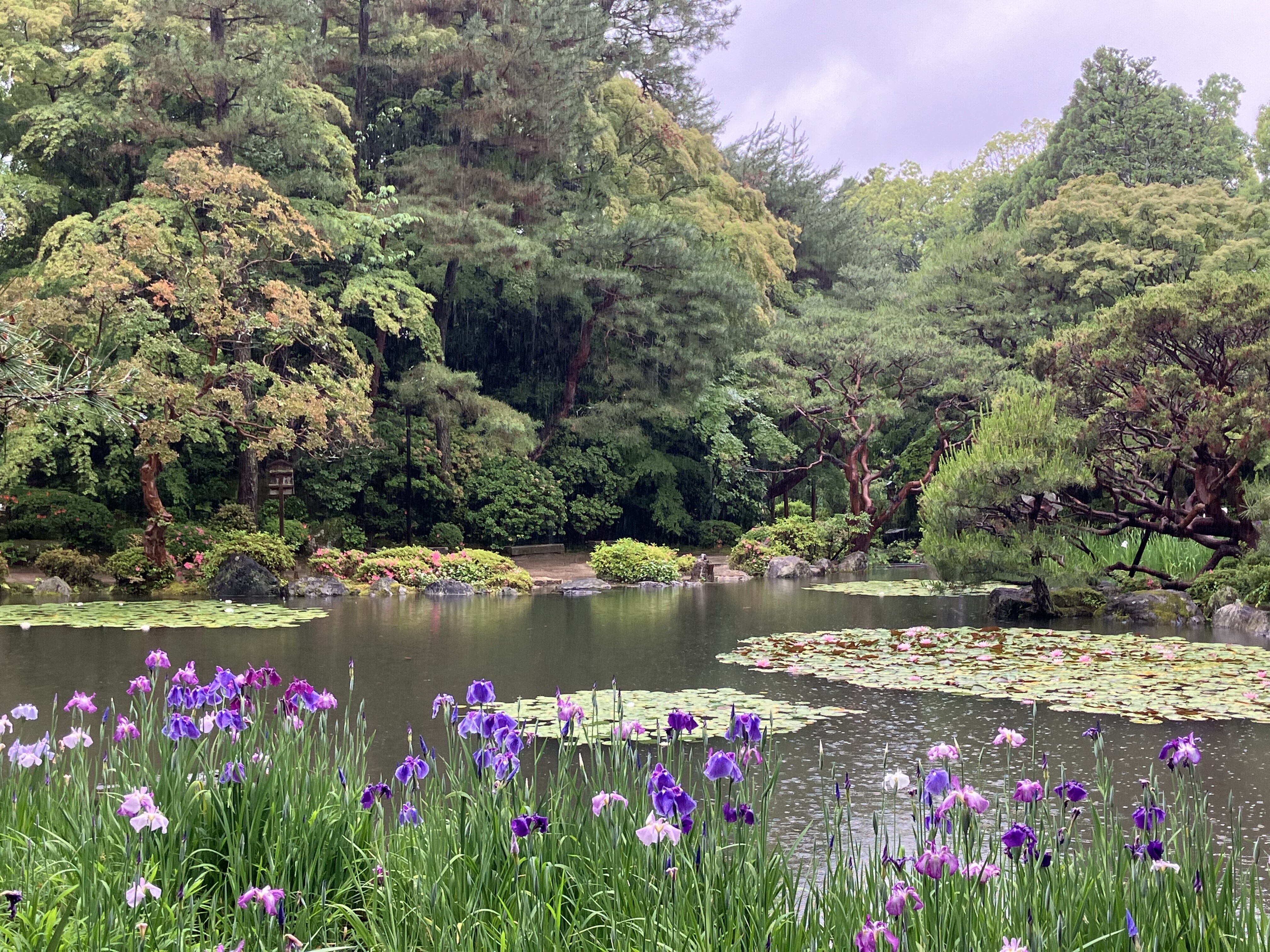 平安神宮外苑の池の写真