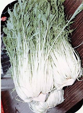 みず菜の収穫後の写真