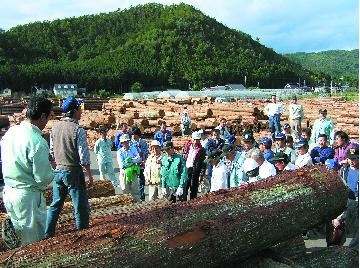 原木市場の写真