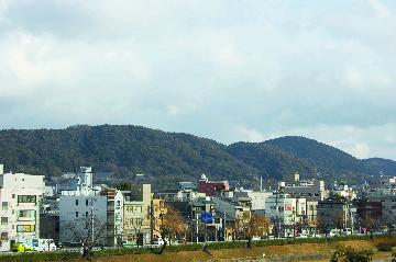 東山風景林の写真