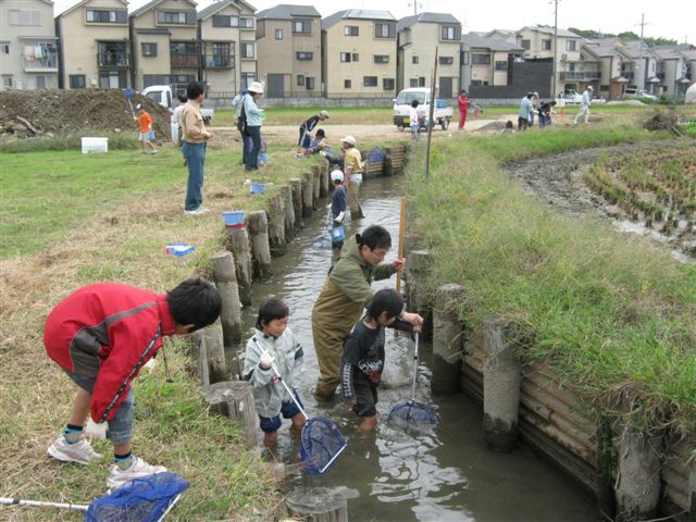 生き物調査の様子