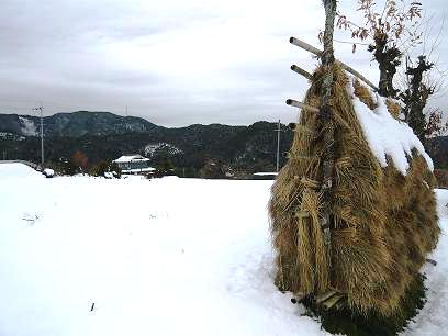 雪の越畑の画像