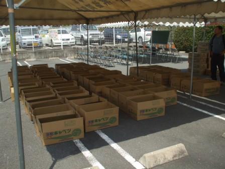 キャベツ品評会の画像