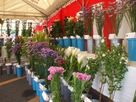 花きの品評会の画像
