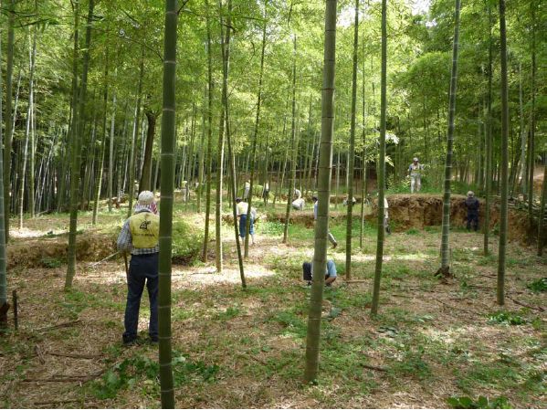 除草作業の画像