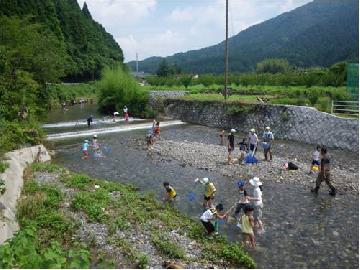 水生生物調査の様子