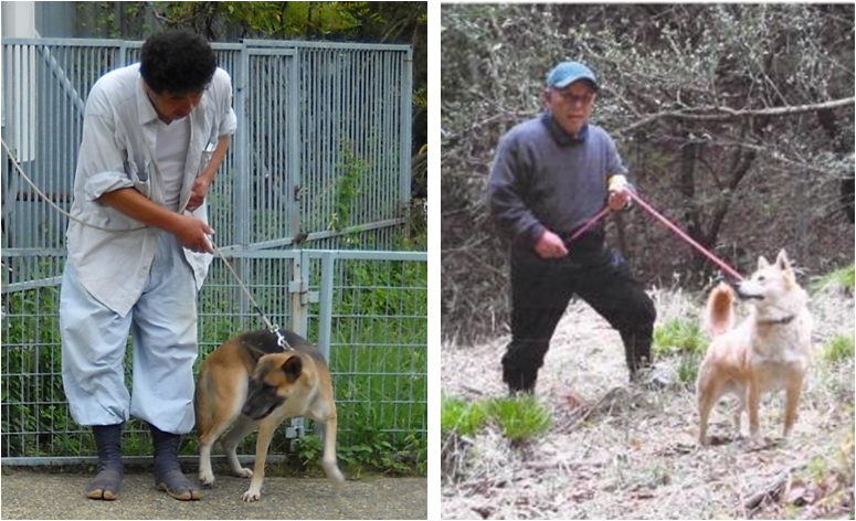 モンキードッグのアスカとマリーの画像