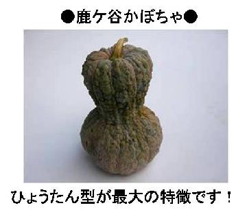 鹿ケ谷かぼちゃ（ひょうたん型が最大の特徴です！）　詳しくはこちらをクリック。