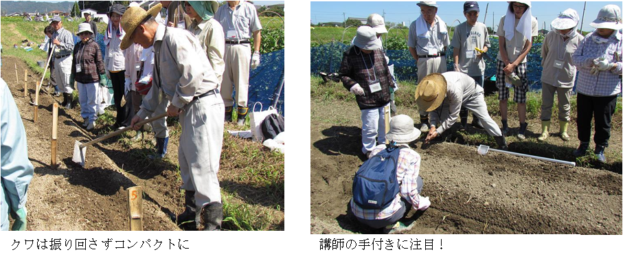 左：クワは振り回さずコンパクトに（クワ使いの講習）/右：講師の手付きに注目！（種まきの講習）