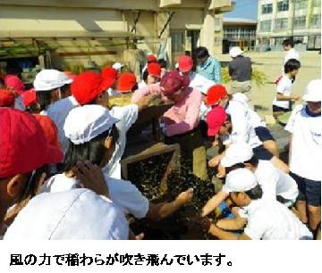 とうみを使用している様子：風の力で稲わらが吹き飛んでいます。