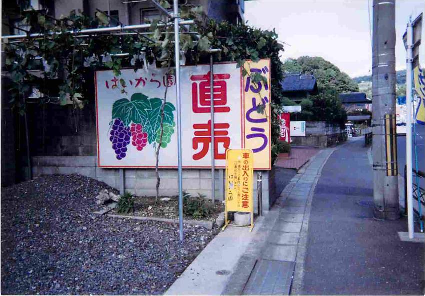 はいから園の画像
