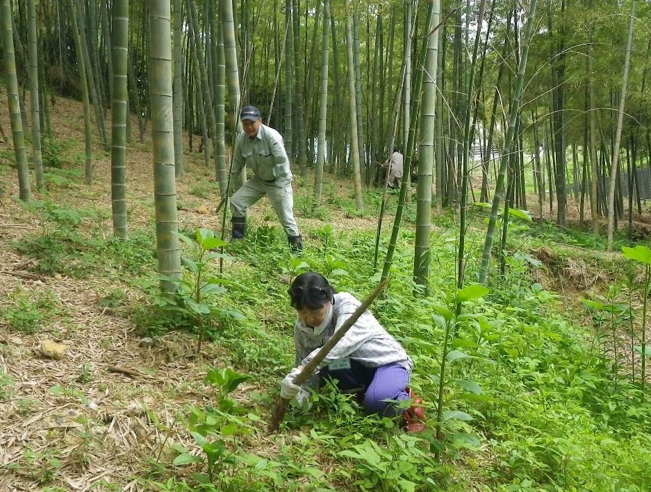 草刈りの様子