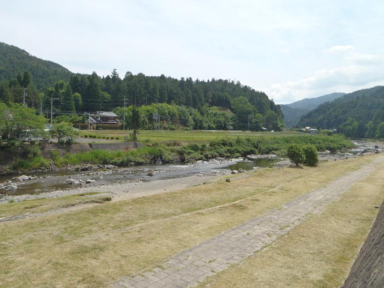 最近の上桂川風景（山陵橋付近）