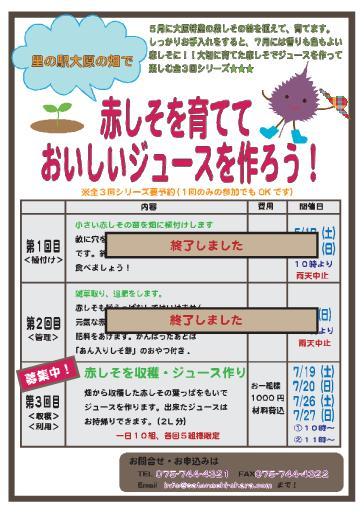 リーフレット