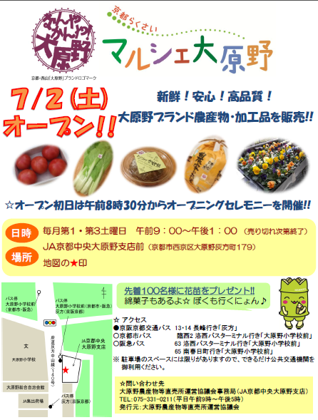 チラシ