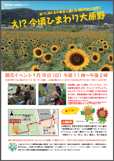 チラシ