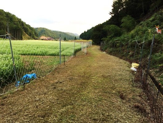 ネット柵・電気柵で2重の獣害対策