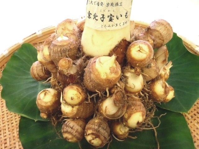 京北子宝いも