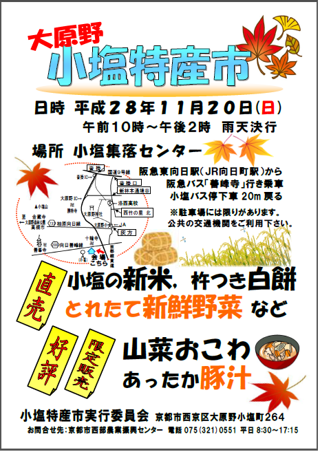 チラシ