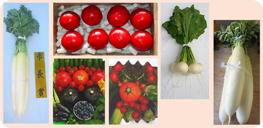 市長賞受賞野菜