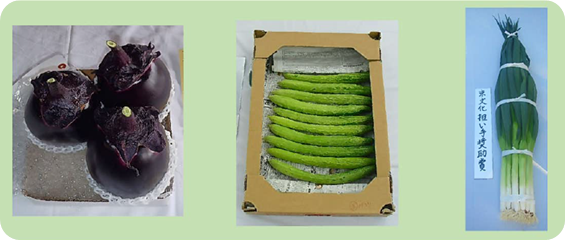 京文化担い手奨励賞受賞野菜