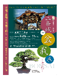 盆栽展