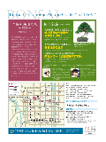 盆栽展