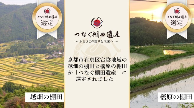 つなぐ棚田遺産キービジュアル