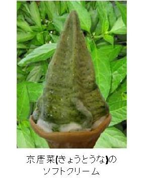 京唐菜（きょうとうな）のソフトクリームの画像
