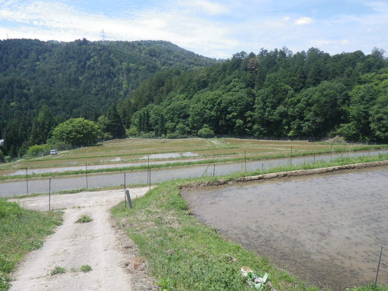 超急傾斜農地保全管理（右京区嵯峨樒原集落）
