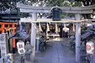 若一神社の写真