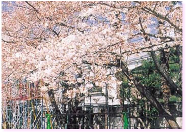 今月号に掲載されている写真