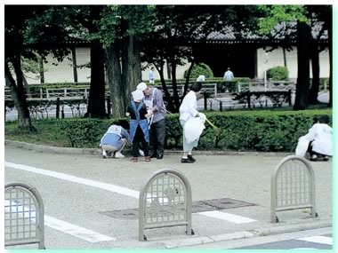 今月号に掲載されている写真