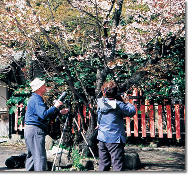 今月号に掲載されている写真