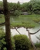 渉成園の写真
